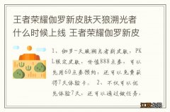 王者荣耀伽罗新皮肤天狼溯光者什么时候上线 王者荣耀伽罗新皮肤天狼溯光者何时上线