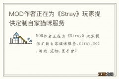 MOD作者正在为《Stray》玩家提供定制自家猫咪服务