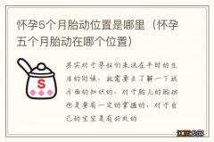 怀孕五个月胎动在哪个位置 怀孕5个月胎动位置是哪里