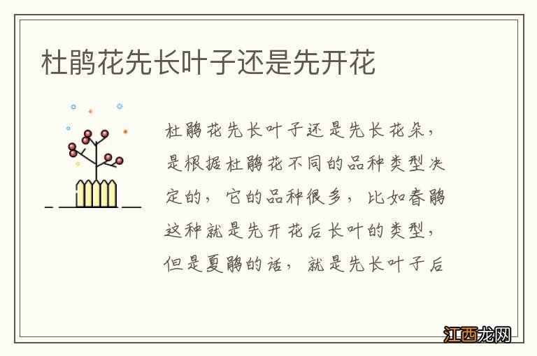 杜鹃花先长叶子还是先开花