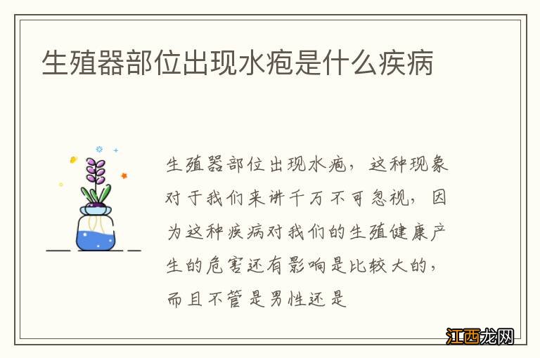 生殖器部位出现水疱是什么疾病