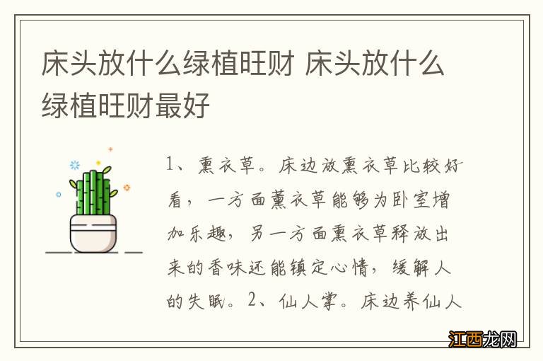 床头放什么绿植旺财 床头放什么绿植旺财最好