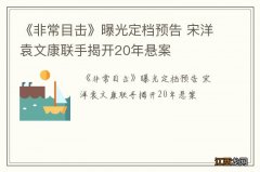 《非常目击》曝光定档预告 宋洋袁文康联手揭开20年悬案