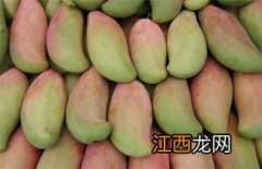 什么时候的芒果最便宜？怎么挑芒果？