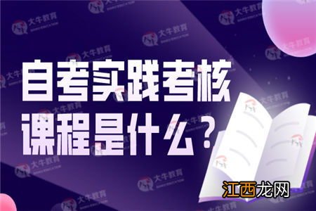 自考实践课好过吗 什么时候考