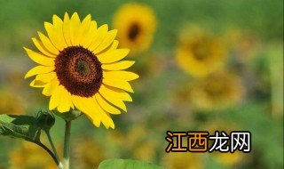 充满阳光正能量的群名 充满阳光正能量的群名大全