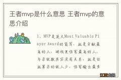 王者mvp是什么意思 王者mvp的意思介绍