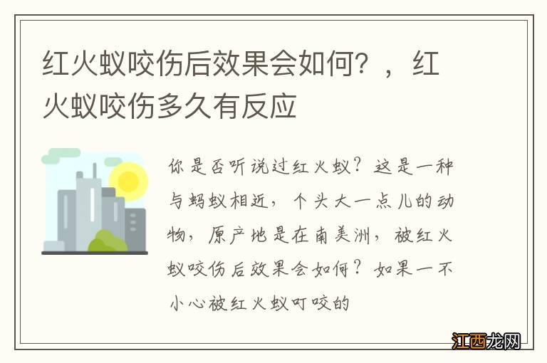 红火蚁咬伤后效果会如何？，红火蚁咬伤多久有反应