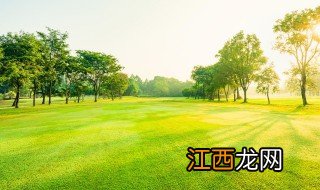 教师怎么教育孩子不踩草坪，教师怎么教育孩子不踩草坪的幼儿