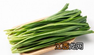 这个季节能不能种韭菜 春节前后可以种韭菜吗