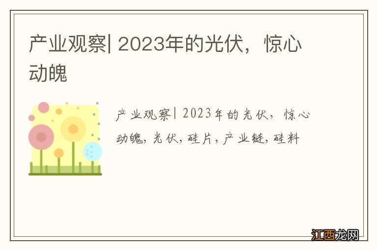 产业观察| 2023年的光伏，惊心动魄