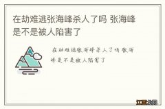 在劫难逃张海峰杀人了吗 张海峰是不是被人陷害了