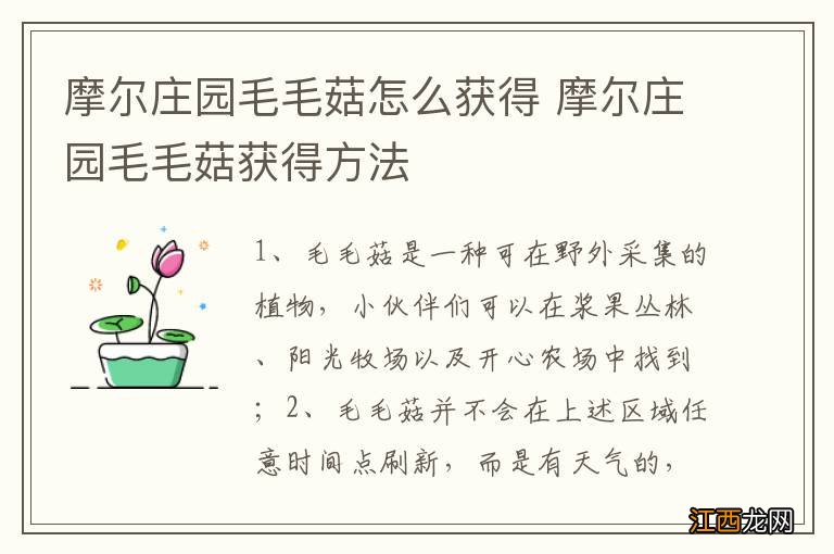 摩尔庄园毛毛菇怎么获得 摩尔庄园毛毛菇获得方法