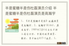 半是蜜糖半是伤杜磊演员介绍 半是蜜糖半是伤杜磊演员是高瀚宇