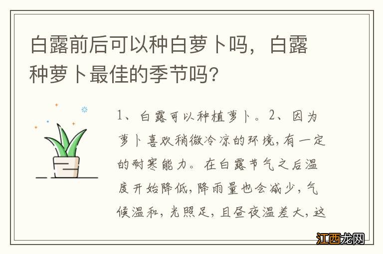 白露前后可以种白萝卜吗，白露种萝卜最佳的季节吗?