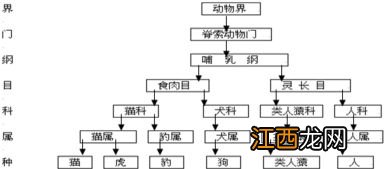 蝗虫跟人类的关系