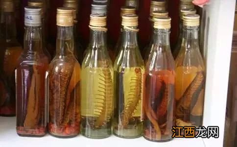 蜈蚣能泡酒吗