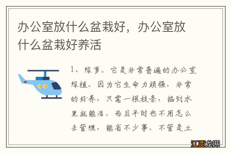 办公室放什么盆栽好，办公室放什么盆栽好养活