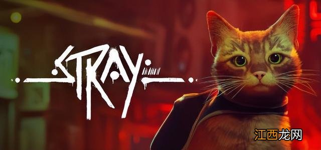 《Stray》评测：猫，流浪，机器人