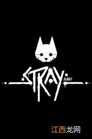 《Stray》评测：猫，流浪，机器人