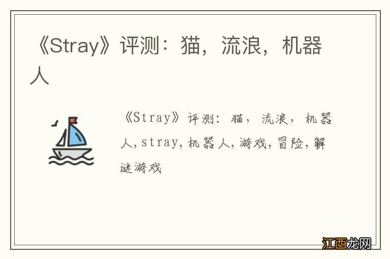 《Stray》评测：猫，流浪，机器人