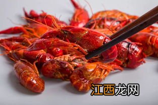 小龙虾爱吃什么东西