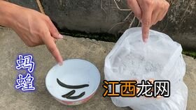 水蛭撒盐为什么会流血