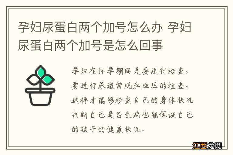 孕妇尿蛋白两个加号怎么办 孕妇尿蛋白两个加号是怎么回事