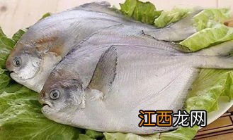 白鲳鱼腹为什么红