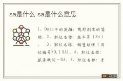 sa是什么 sa是什么意思