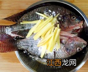 鳜鱼鱼有鱼腥线吗