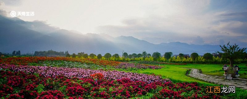 通化市春季赏花去哪里通化市春天赏花的地方