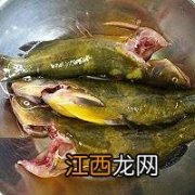 黄颡鱼喜欢吃什么食物