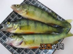 鲈鱼海鱼还是淡水鱼