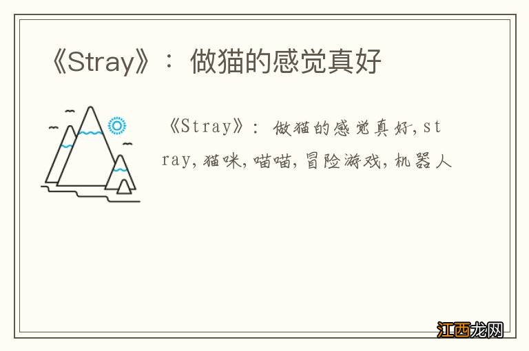 《Stray》：做猫的感觉真好