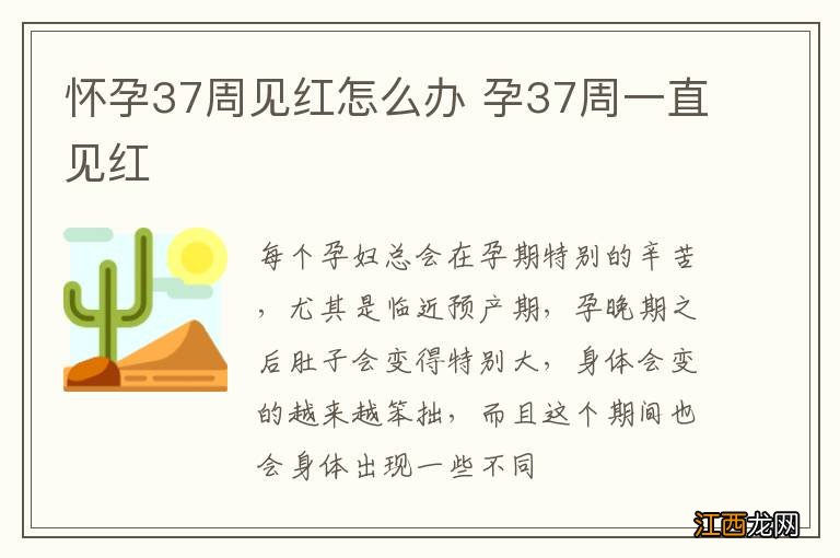 怀孕37周见红怎么办 孕37周一直见红