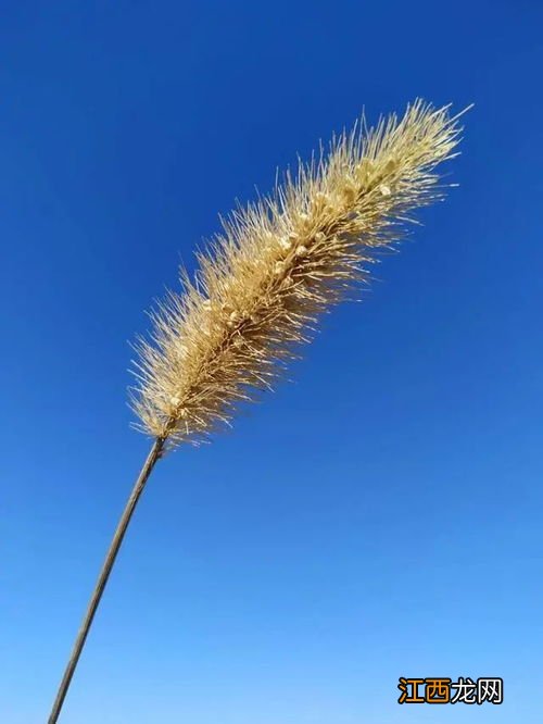 砥砺前行完整的句子 高考励志句子