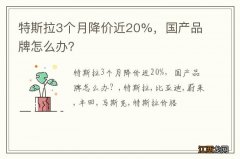 特斯拉3个月降价近20%，国产品牌怎么办？