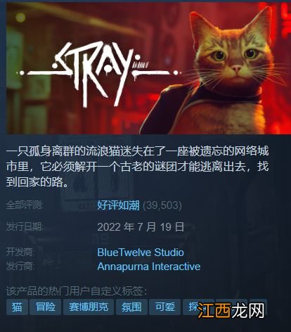 可爱猫猫变成&quot;奇行种&quot;，《Stray》已经被MOD作者玩坏了