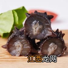 海参冷冻还是冷藏