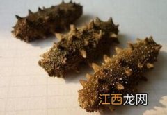 海参变质是什么样子