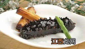 海参属于寒性食物吗