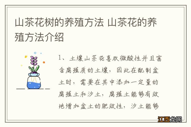 山茶花树的养殖方法 山茶花的养殖方法介绍