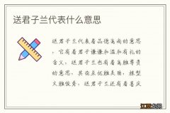 送君子兰代表什么意思