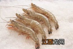 南美白对虾放苗时有很多水蚤需要喂料吗