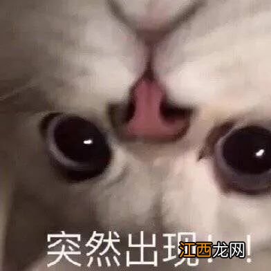 有些人想在游戏里当猫猫，有些人想在游戏变猫娘