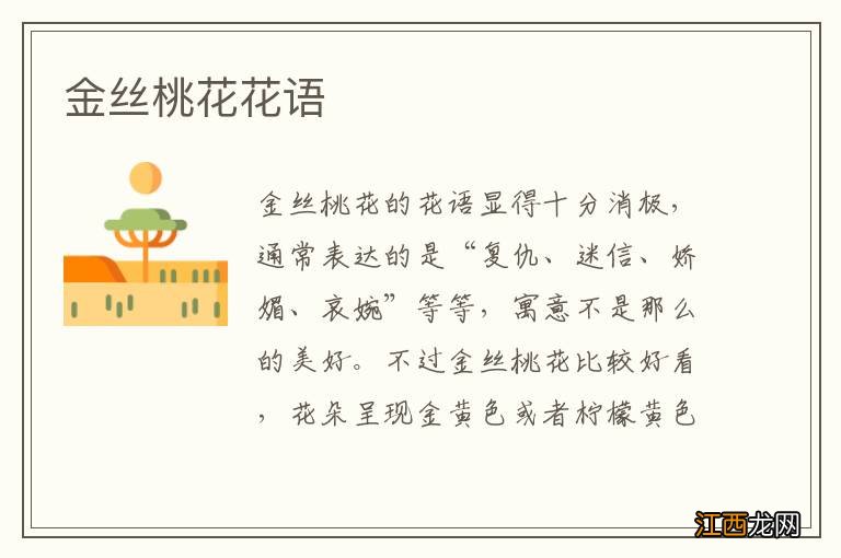 金丝桃花花语