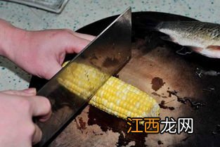 鲫鱼吃玉米吗