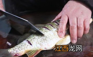 鲤鱼鱼线怎么抽出来