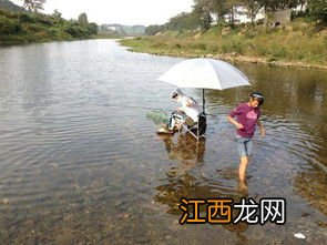 鲶鱼钓深水还是浅水